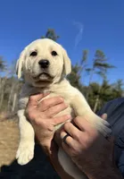 processed/a5af1285-2a47-44da-b2b9-e003327a65b2/listing/bbd22a3e-12b9-4066-9e01-33192fe1a51d/812ae7a4-3fb0-48db-b118-f9c4ff9d8354