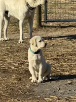 processed/a5af1285-2a47-44da-b2b9-e003327a65b2/listing/bbd22a3e-12b9-4066-9e01-33192fe1a51d/947c592e-0803-4730-9a92-c5720af80361