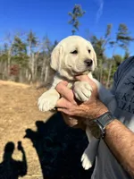 processed/a5af1285-2a47-44da-b2b9-e003327a65b2/listing/bbd22a3e-12b9-4066-9e01-33192fe1a51d/a4457ad2-c81c-4f66-bf47-810b2d3135cc