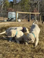 processed/a5af1285-2a47-44da-b2b9-e003327a65b2/listing/bbd22a3e-12b9-4066-9e01-33192fe1a51d/c95445cb-9653-4455-ad28-4532121931ba