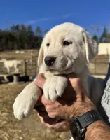 processed/a5af1285-2a47-44da-b2b9-e003327a65b2/listing/d7bc1202-2458-4665-a06e-8e156c12adfc/251947cb-a5ef-4d8d-8324-217578c61e06