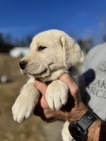 processed/a5af1285-2a47-44da-b2b9-e003327a65b2/listing/d7bc1202-2458-4665-a06e-8e156c12adfc/276a0768-9470-485b-876f-d0b84b5dc4bb