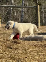 processed/a5af1285-2a47-44da-b2b9-e003327a65b2/listing/d7bc1202-2458-4665-a06e-8e156c12adfc/5c154cd2-7561-4c62-8e88-e7b0ddb57a47