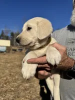 processed/a5af1285-2a47-44da-b2b9-e003327a65b2/listing/f5df0868-b1d0-4fae-a7d9-6063fdfc7810/38e6d3aa-9cd2-4f6c-b293-daebddd2d9f9