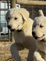 processed/a5af1285-2a47-44da-b2b9-e003327a65b2/listing/f5df0868-b1d0-4fae-a7d9-6063fdfc7810/3cb39c90-b78c-4e4d-9d0c-1466d2117281