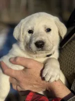 processed/a5af1285-2a47-44da-b2b9-e003327a65b2/listing/f5df0868-b1d0-4fae-a7d9-6063fdfc7810/4e147bb0-6009-4205-9dcb-dbc0bad41443