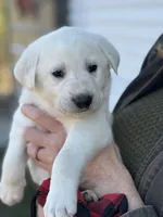 processed/a5af1285-2a47-44da-b2b9-e003327a65b2/listing/f5df0868-b1d0-4fae-a7d9-6063fdfc7810/4fd8ccf4-2c8f-40b7-ba4e-50d70d926714