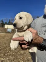 processed/a5af1285-2a47-44da-b2b9-e003327a65b2/listing/f5df0868-b1d0-4fae-a7d9-6063fdfc7810/7c93d8fc-d324-4a1b-8ce3-462643b53cc7