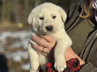 processed/a5af1285-2a47-44da-b2b9-e003327a65b2/listing/f5df0868-b1d0-4fae-a7d9-6063fdfc7810/ef821f82-4ff9-4a81-8c05-36100bf6dea3