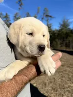 processed/a5af1285-2a47-44da-b2b9-e003327a65b2/listing/f6f53977-423b-42bb-bbeb-58f47459c224/3603922f-2934-41da-9dc0-c5d71f52c1da