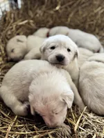 processed/a5af1285-2a47-44da-b2b9-e003327a65b2/listing/f6f53977-423b-42bb-bbeb-58f47459c224/3b89b462-e7ed-4312-9fc9-6faf69a6a866