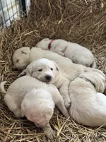 processed/a5af1285-2a47-44da-b2b9-e003327a65b2/listing/f6f53977-423b-42bb-bbeb-58f47459c224/bf15c135-0a81-436e-8f95-ab3d1749f4cb