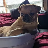 processed/a5b65f71-8833-414f-85bb-9b63cd6b9742/facility/021b0ffe-84d5-476d-8568-83c0d9c16b8b