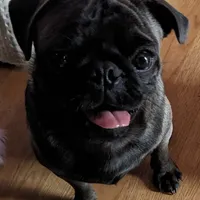 processed/a5b65f71-8833-414f-85bb-9b63cd6b9742/facility/169d4bbe-afee-45fe-966c-012715bc136e