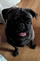 processed/a5b65f71-8833-414f-85bb-9b63cd6b9742/facility/169d4bbe-afee-45fe-966c-012715bc136e