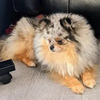 processed/a5b65f71-8833-414f-85bb-9b63cd6b9742/facility/1ecd009c-99bb-4519-ac3f-fe75a9b2d5b1