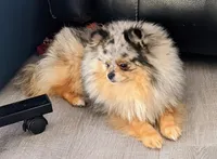 processed/a5b65f71-8833-414f-85bb-9b63cd6b9742/facility/1ecd009c-99bb-4519-ac3f-fe75a9b2d5b1