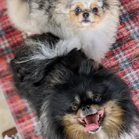 processed/a5b65f71-8833-414f-85bb-9b63cd6b9742/facility/3f58e3c8-ba47-437c-a344-474daa52a52f