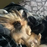 processed/a5b65f71-8833-414f-85bb-9b63cd6b9742/facility/4ceeaf91-4d06-4f51-a23b-9cfab31bdd9d