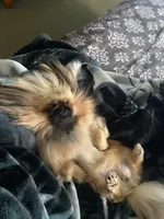 processed/a5b65f71-8833-414f-85bb-9b63cd6b9742/facility/4ceeaf91-4d06-4f51-a23b-9cfab31bdd9d