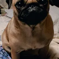 processed/a5b65f71-8833-414f-85bb-9b63cd6b9742/facility/a5e34b35-93d1-4279-af3a-736f5a753be3