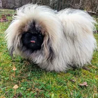 processed/a5b65f71-8833-414f-85bb-9b63cd6b9742/facility/c94ca088-f748-472e-b63f-43d81f439f66