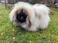 processed/a5b65f71-8833-414f-85bb-9b63cd6b9742/facility/c94ca088-f748-472e-b63f-43d81f439f66