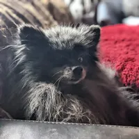 processed/a5b65f71-8833-414f-85bb-9b63cd6b9742/facility/ce2bc1ce-da1f-4676-9bfb-2f0ee57d212b