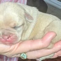 processed/a5b65f71-8833-414f-85bb-9b63cd6b9742/facility/d5a43319-418b-42a5-a23a-c98355c2afd5