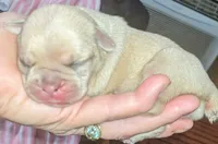 processed/a5b65f71-8833-414f-85bb-9b63cd6b9742/facility/d5a43319-418b-42a5-a23a-c98355c2afd5