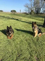 processed/a5bc566a-a7f5-4fc6-84dd-9da6b95030da/facility/01b74010-b8c2-4bbb-9c5d-1f798115a8d7