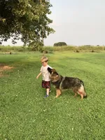 processed/a5bc566a-a7f5-4fc6-84dd-9da6b95030da/facility/16b3c66f-67eb-46c3-8110-1f58d1c537c3