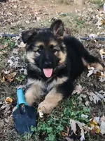 processed/a5bc566a-a7f5-4fc6-84dd-9da6b95030da/facility/7b534ef5-fc0a-4535-a2d7-c26da513fa1c