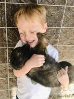 processed/a5bc566a-a7f5-4fc6-84dd-9da6b95030da/facility/8398c898-f805-4241-a01a-744bd8c60f0e