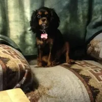 processed/a5c2c586-59ab-429b-963d-62654bbf965e/facility/819118bf-69ed-4d63-b0a4-9d64639f5f87