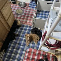 processed/a5c2c586-59ab-429b-963d-62654bbf965e/facility/cf44010c-e250-4a03-99b9-705c338fa5df