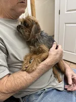 processed/a5c2c586-59ab-429b-963d-62654bbf965e/listing/2c80fded-3bc6-419a-81d6-e4f3fa92bfe7/4a352fbe-5289-4749-b040-8e8bdbca0d62