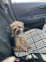 processed/a5c2c586-59ab-429b-963d-62654bbf965e/listing/2c80fded-3bc6-419a-81d6-e4f3fa92bfe7/aae82a6b-9793-44eb-b1c5-55693bf8a08d