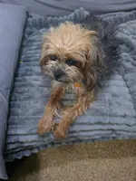 processed/a5c2c586-59ab-429b-963d-62654bbf965e/listing/2c80fded-3bc6-419a-81d6-e4f3fa92bfe7/d70cf141-fad7-4b62-a332-825e3b680bdd