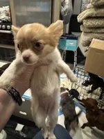 processed/a5c2c586-59ab-429b-963d-62654bbf965e/listing/66183f7a-6970-4495-9500-02d86db248b7/1cb6f71c-b0e6-4222-b2c8-a1cf892614d1