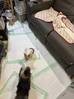 processed/a5c2c586-59ab-429b-963d-62654bbf965e/listing/66183f7a-6970-4495-9500-02d86db248b7/2755bb9d-5736-43ce-bbe9-6c819e677a00