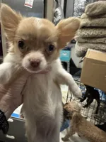 processed/a5c2c586-59ab-429b-963d-62654bbf965e/listing/66183f7a-6970-4495-9500-02d86db248b7/417721b8-90cc-40a6-9732-08c263e45832