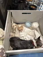 processed/a5c2c586-59ab-429b-963d-62654bbf965e/listing/66183f7a-6970-4495-9500-02d86db248b7/82507cd4-62f2-4800-9928-361ab66944ff