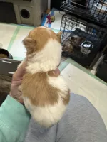 processed/a5c2c586-59ab-429b-963d-62654bbf965e/listing/66183f7a-6970-4495-9500-02d86db248b7/e5033c7e-5c85-4122-81cf-45fab2ca9fa0