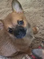 processed/a5c2c586-59ab-429b-963d-62654bbf965e/listing/71622254-cfed-48a7-985f-3f69c2351a73/22eee90b-6bea-4055-a43d-24b2c7a6c148