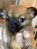 processed/a5c2c586-59ab-429b-963d-62654bbf965e/listing/71622254-cfed-48a7-985f-3f69c2351a73/726b07b8-bffc-46ad-9d8d-bbdaf1b203db