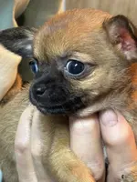 processed/a5c2c586-59ab-429b-963d-62654bbf965e/listing/71622254-cfed-48a7-985f-3f69c2351a73/bca54a3f-b9ea-4dbc-9981-030bbdc5828e