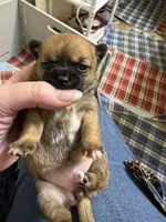 processed/a5c2c586-59ab-429b-963d-62654bbf965e/listing/71622254-cfed-48a7-985f-3f69c2351a73/eb25d9e0-0172-47f4-a09c-00afa80d6c9e