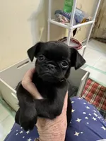 processed/a5c2c586-59ab-429b-963d-62654bbf965e/listing/79a7d51f-eb89-4e05-98ca-f09f4d72b96d/05633b3e-f359-48ab-bbef-a587c4fcae4b