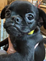 processed/a5c2c586-59ab-429b-963d-62654bbf965e/listing/79a7d51f-eb89-4e05-98ca-f09f4d72b96d/32b4aa85-c5da-441e-a40d-f57c20642ba5